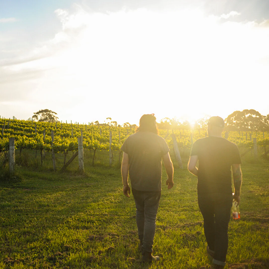 Frankie 2021 - Image 4