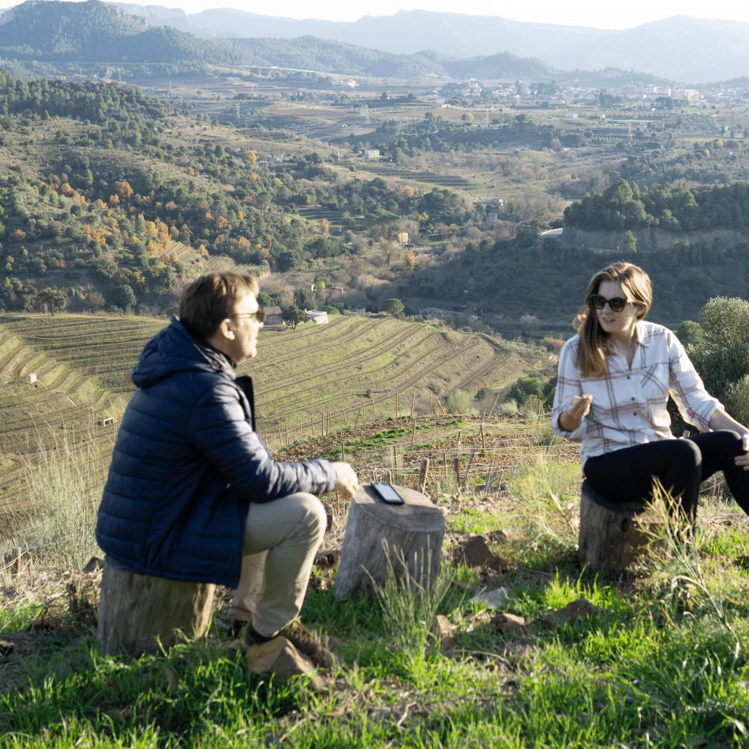 Cariñena 2017 - Image 4