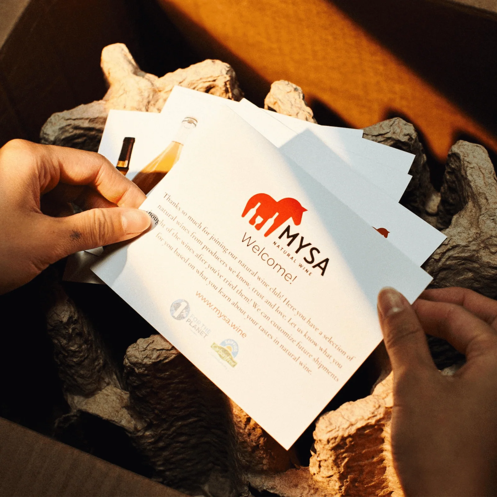 Mixed Natural Wine Club - Image 3