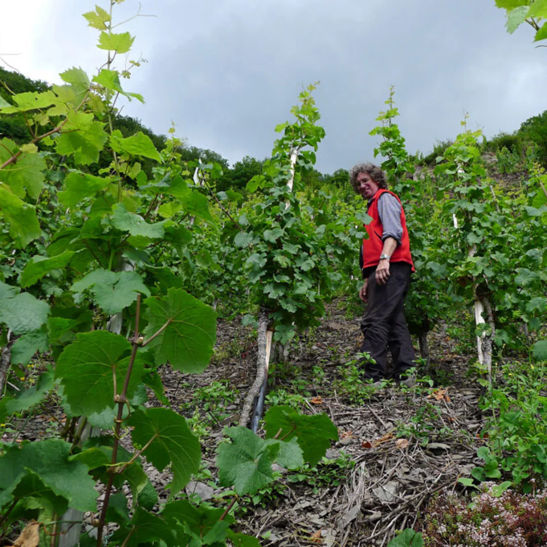 Red Light 2016 - Image 3